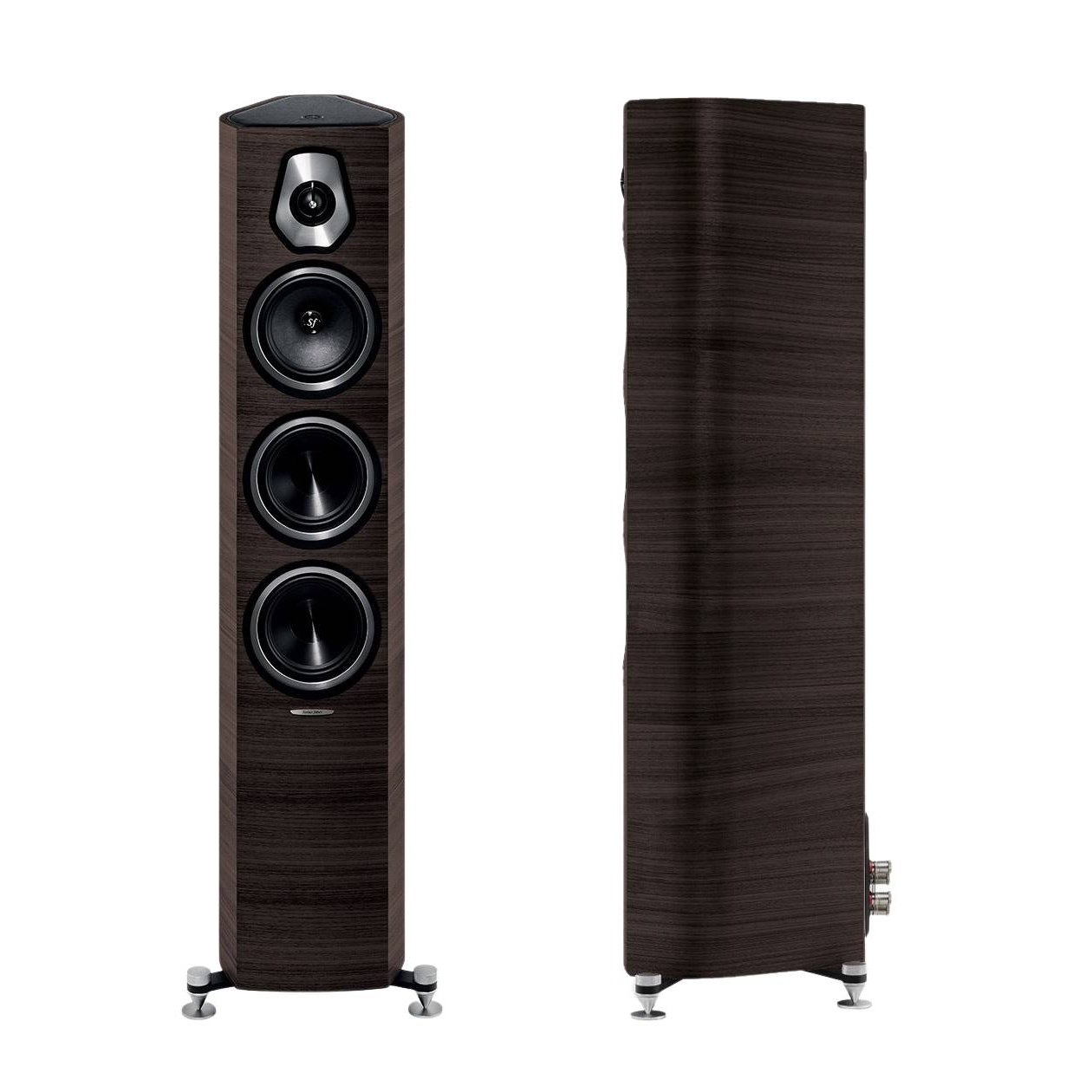 Sonus Faber-Sonus Faber Sonetto III Pair-PremiumHIFI