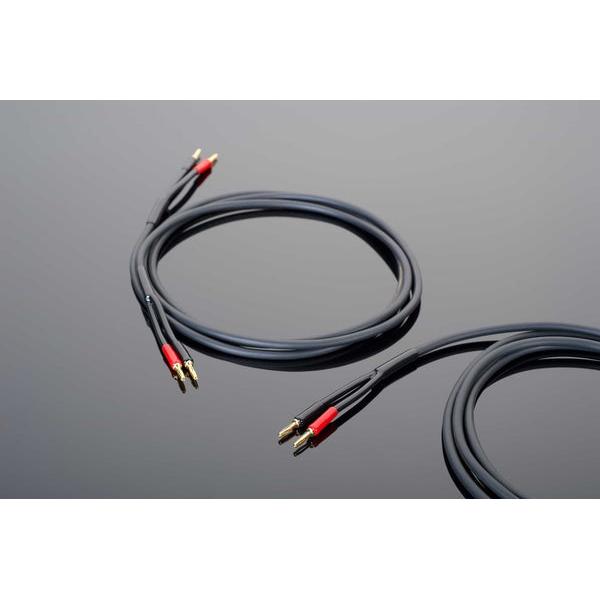 Transparent HW SPEAKER CABLE, 10FT-🟢 PremiumHIFI audio store