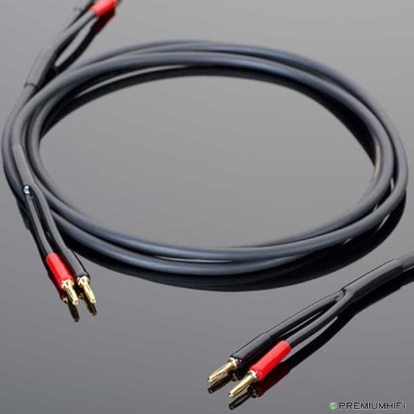 Transparent HW SPEAKER CABLE, 10FT-🟢 PremiumHIFI audio store