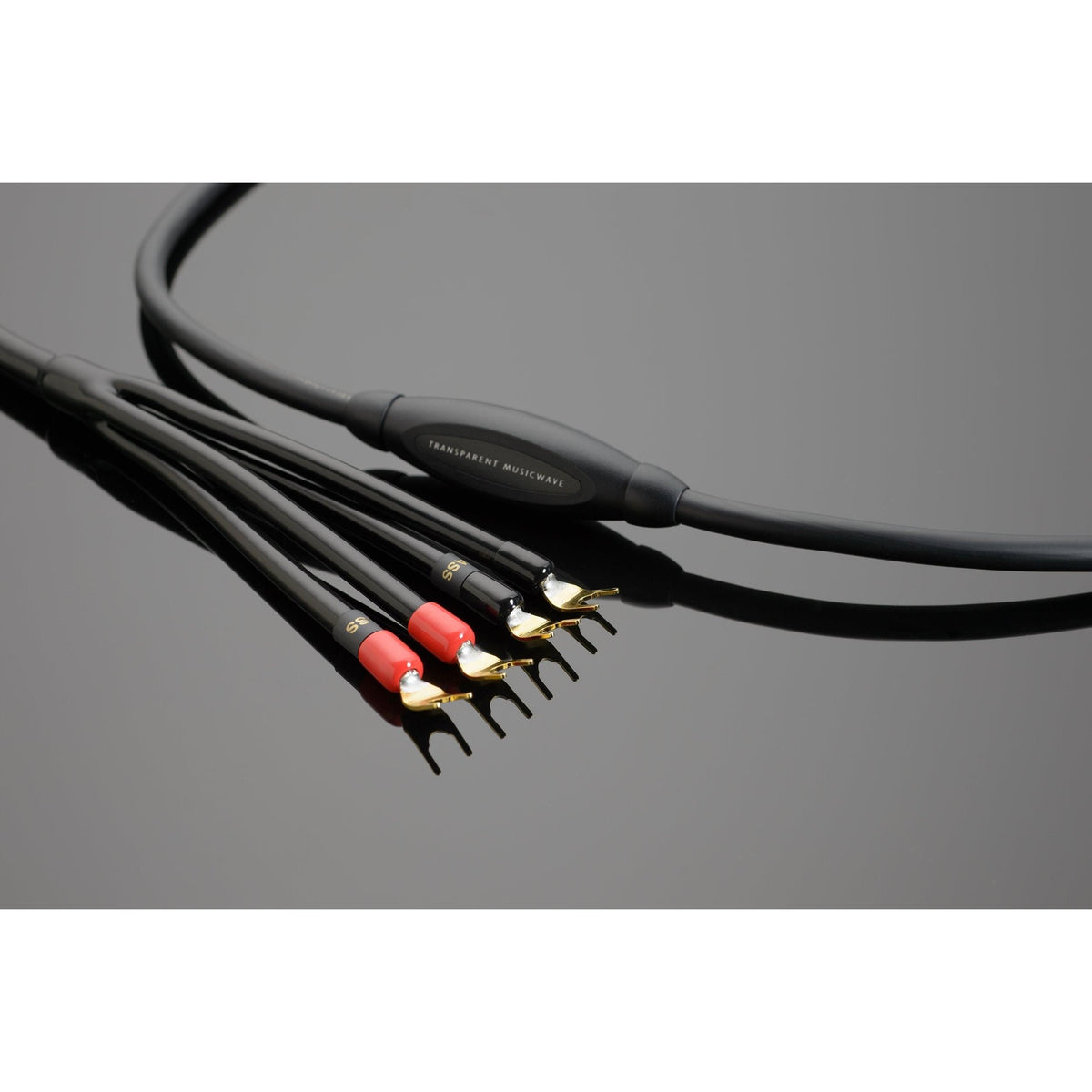 Transparent MUSICWAVE BIWIRE SC, 10FT-🟢 PremiumHIFI audio store