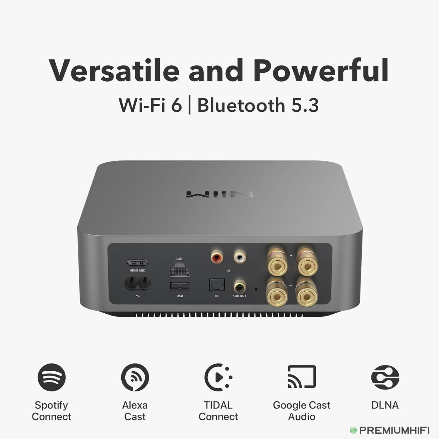 WiiM Amp Pro – Flagship Streaming Amplifier with ESS DAC