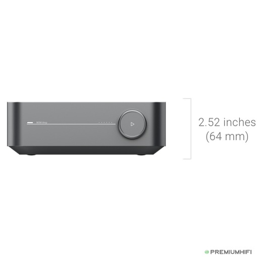 WiiM Amp Pro – Flagship Streaming Amplifier with ESS DAC
