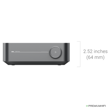 WiiM Amp Pro – Flagship Streaming Amplifier with ESS DAC