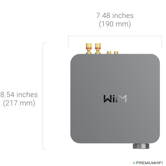 WiiM Amp Pro – Flagship Streaming Amplifier with ESS DAC