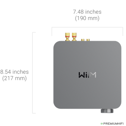 WiiM Amp Pro – Flagship Streaming Amplifier with ESS DAC