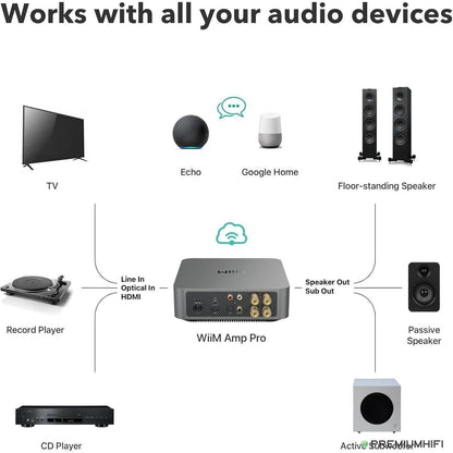 WiiM Amp Pro – Flagship Streaming Amplifier with ESS DAC