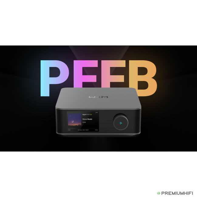 WiiM Amp Ultra – Reference Streaming Amplifier with Display