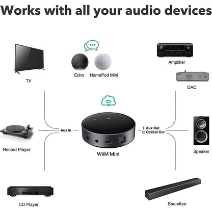 WiiM Mini – Network Audio Streamer