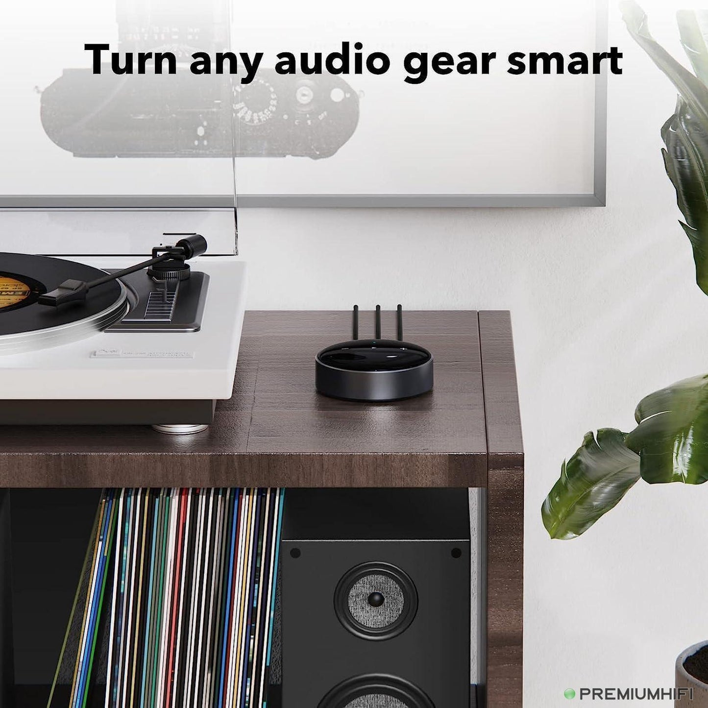 WiiM Mini – Network Audio Streamer