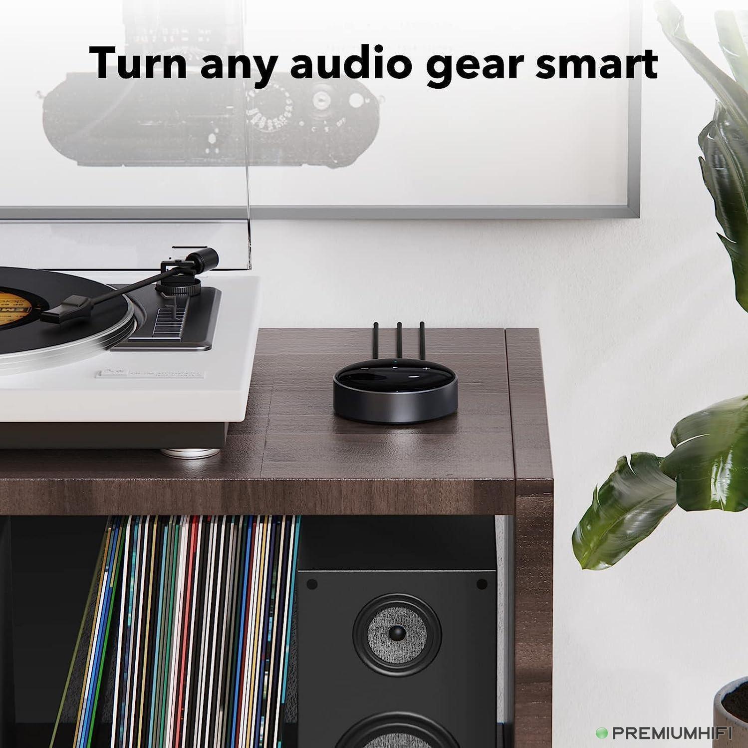 WiiM Mini – Network Audio Streamer