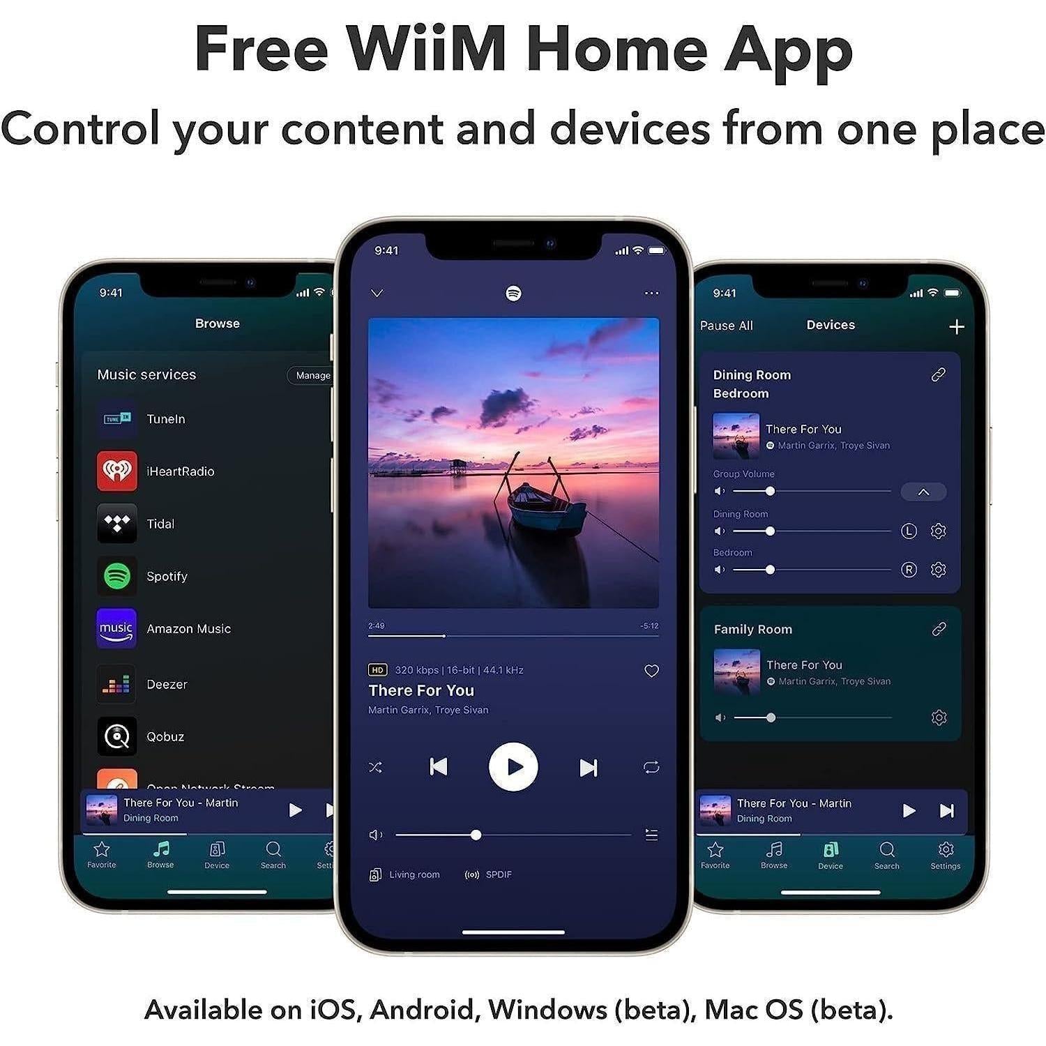 WiiM Mini – Network Audio Streamer