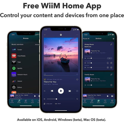 WiiM Mini – Network Audio Streamer