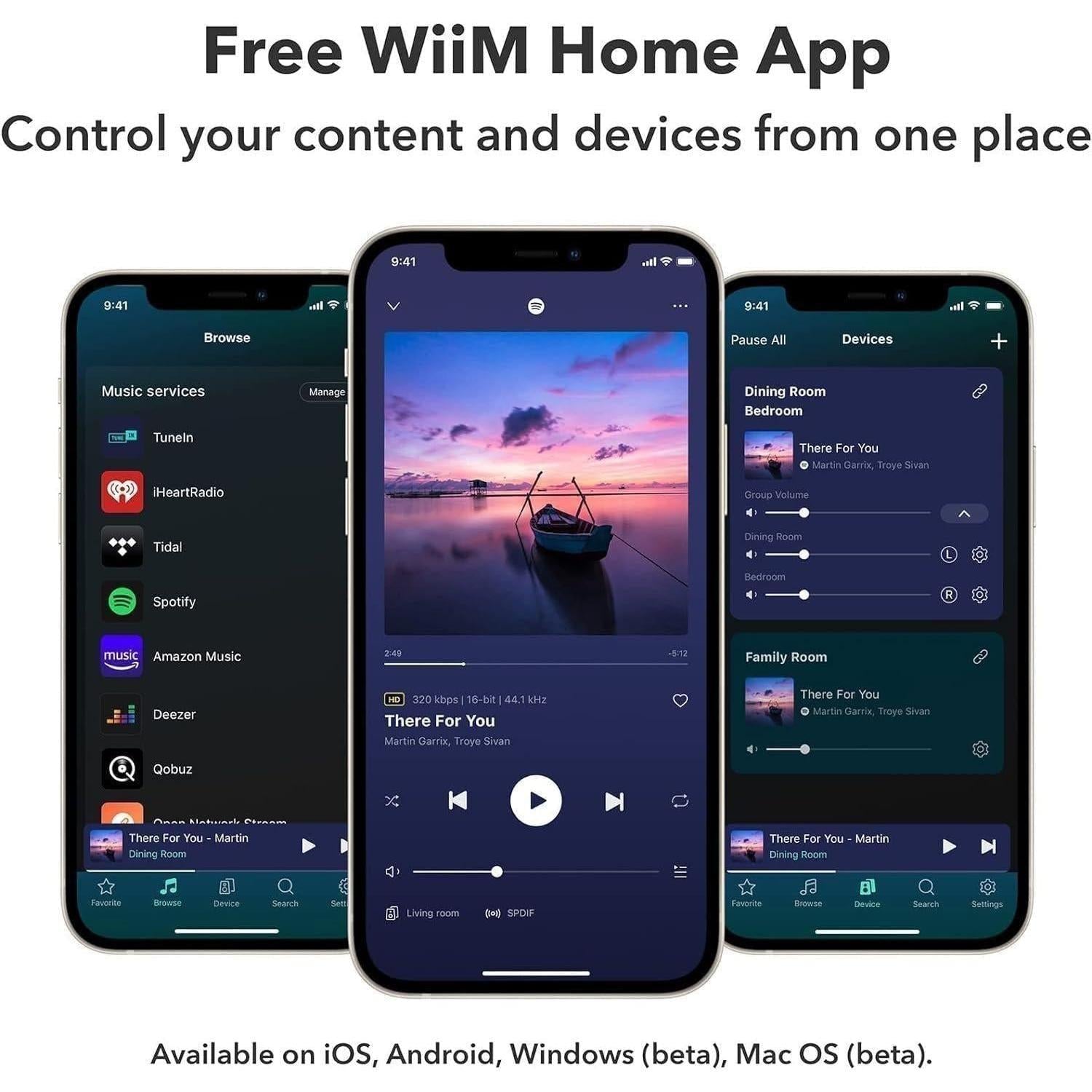 WiiM Pro – Hi-Res Network Audio Streamer