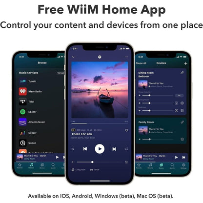 WiiM Pro – Hi-Res Network Audio Streamer