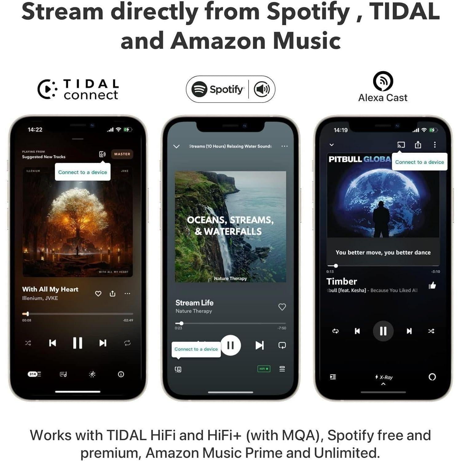 WiiM Pro – Hi-Res Network Audio Streamer