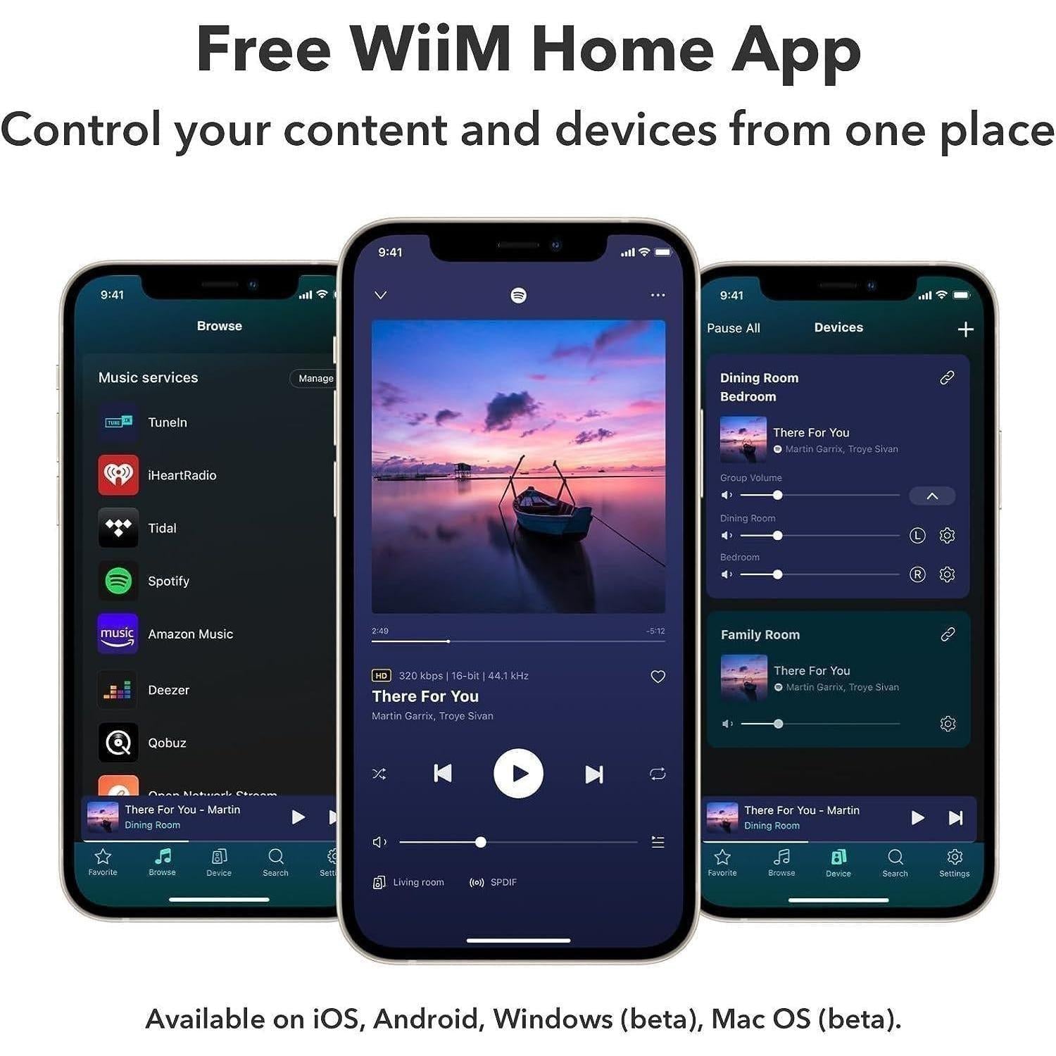 WiiM Pro Plus – Hi-Res Audio Streamer with AKM DAC