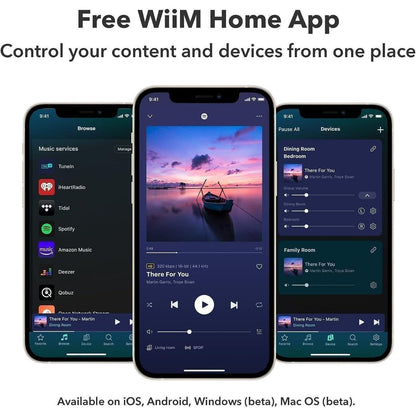 WiiM Pro Plus – Hi-Res Audio Streamer with AKM DAC