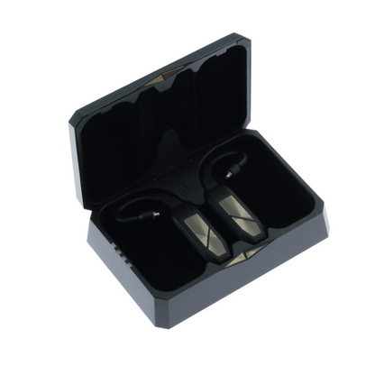 iFi Audio GO Pod Wearable Bluetooth DAC & Headphone Amplifier-🟢 PremiumHIFI audio store