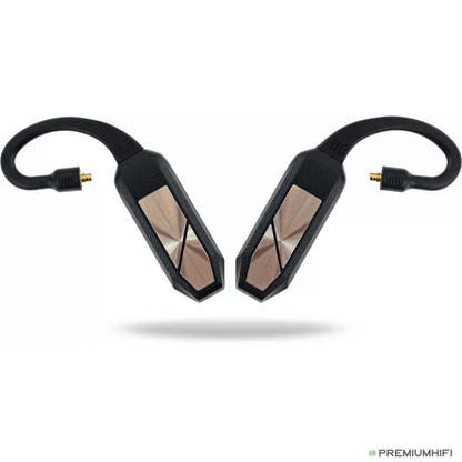 iFi Audio GO Pod Wearable Bluetooth DAC & Headphone Amplifier-🟢 PremiumHIFI audio store