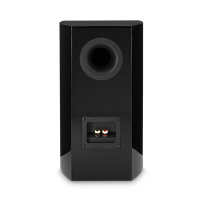 M16 Pair - PremiumHIFI