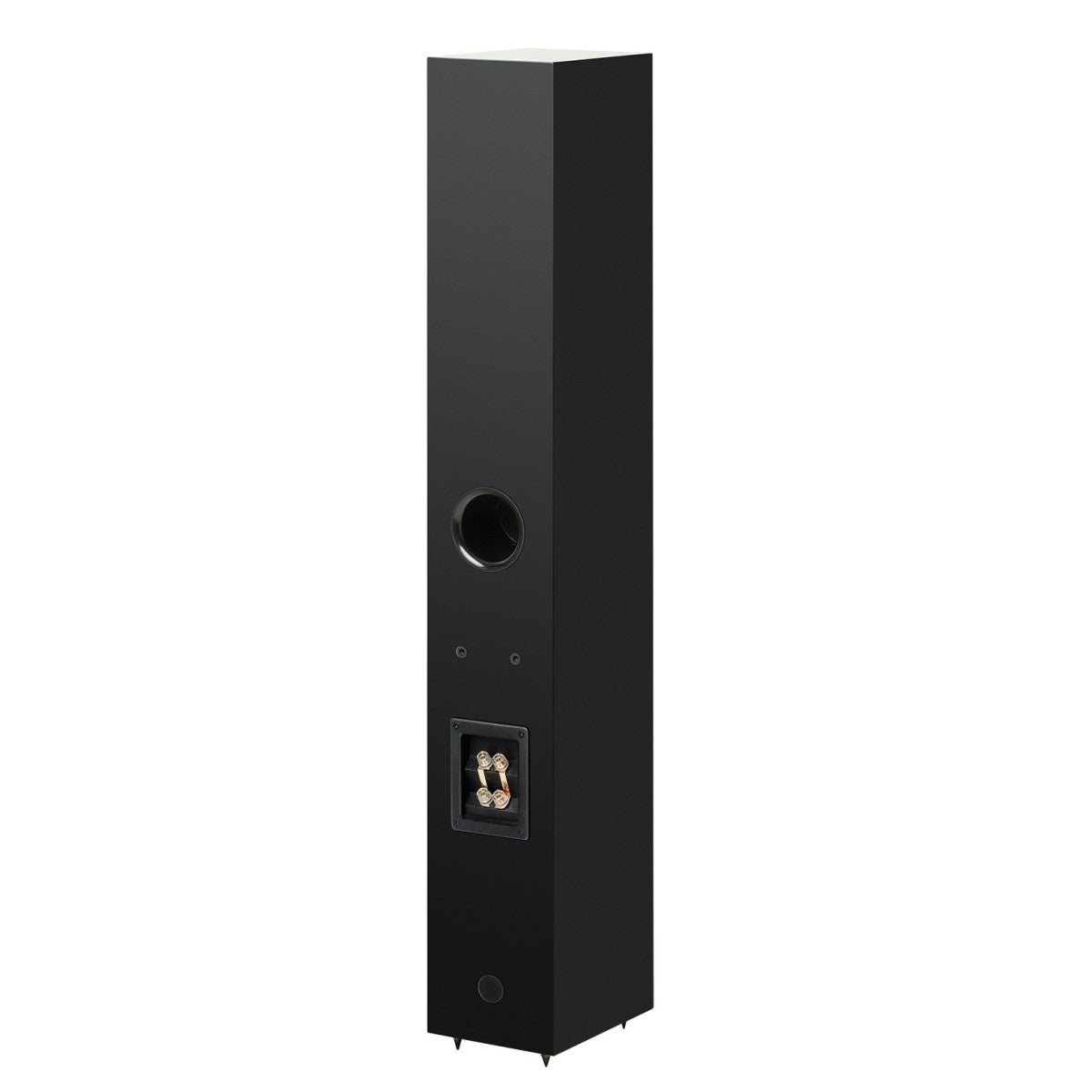 Pro-Ject Speaker Box 12 E Carbon Satin Black rear view