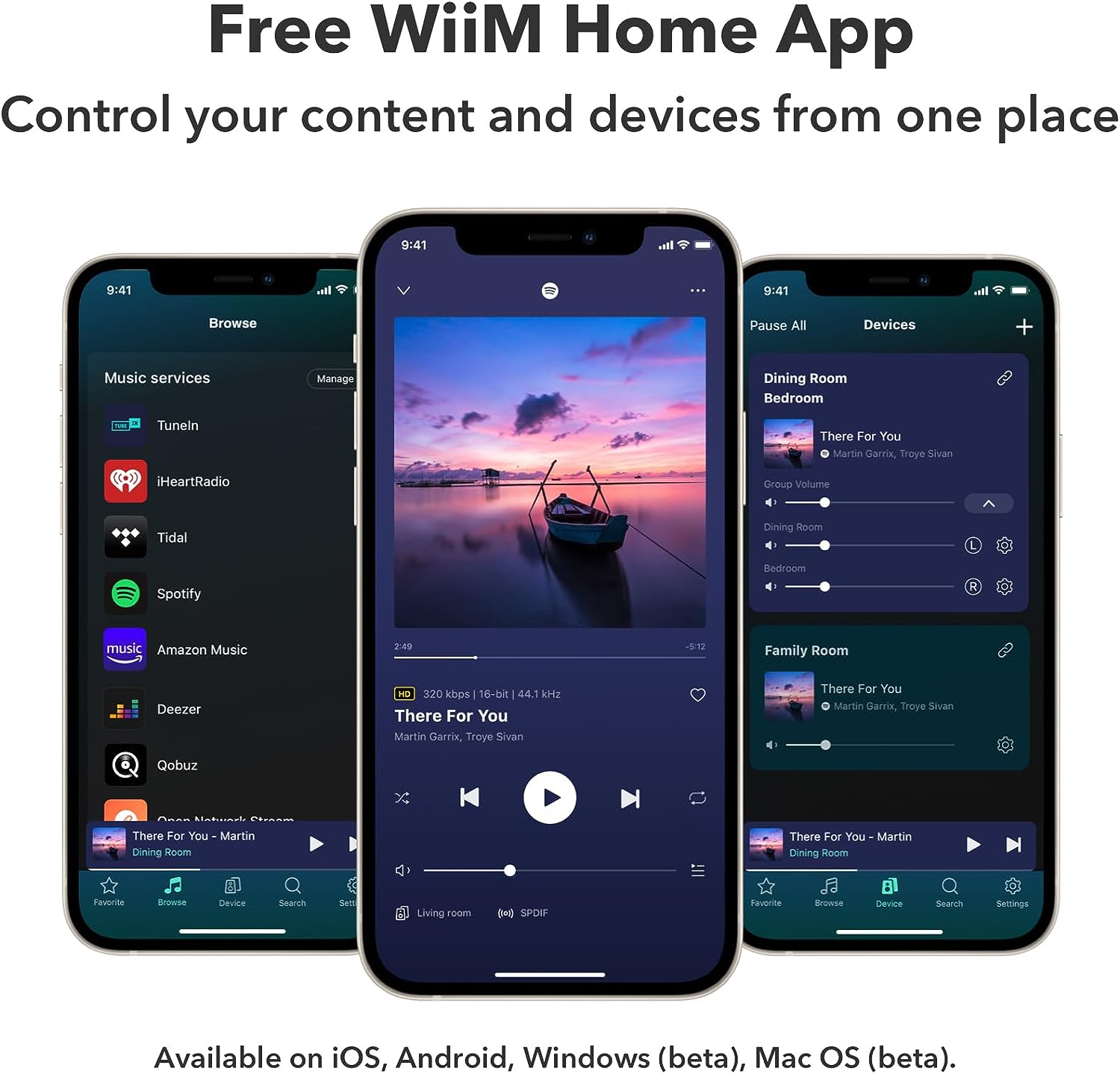 WiiM Pro Plus-Streaming & Home Media Players-WiiM-PremiumHIFI