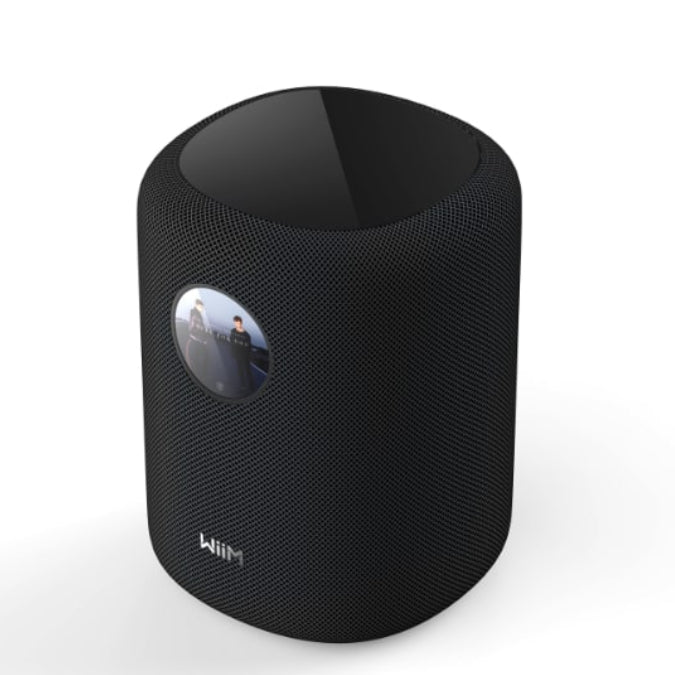 WiiM Sound Smart Speaker