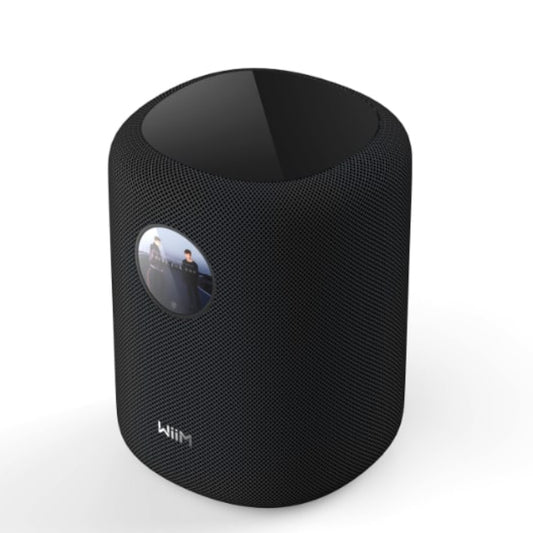 WiiM Sound Smart Speaker